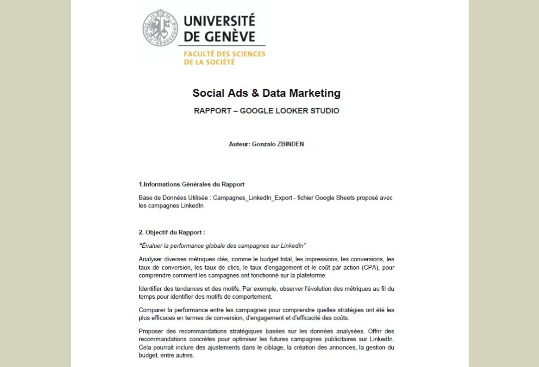 Rapport Social Ads & Data Marketing - Gonzalo ZBINDEN